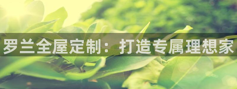 bb电子哪个平台好用点