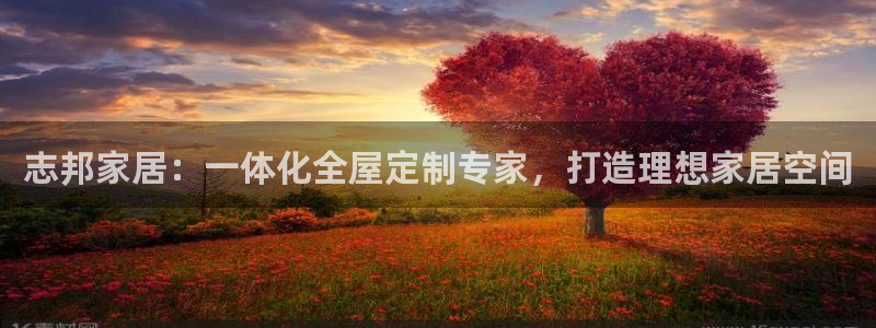 bb电子哪个平台好一点