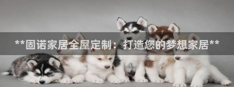 bb电子怎么样