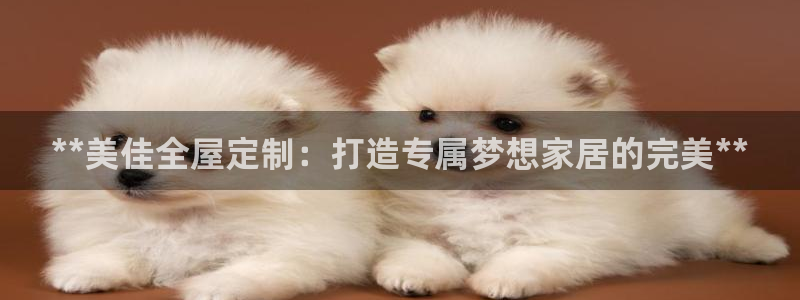 bb电子哪个平台好啊