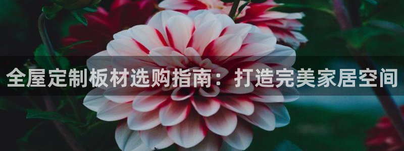 网上bb电子为什么那么假的