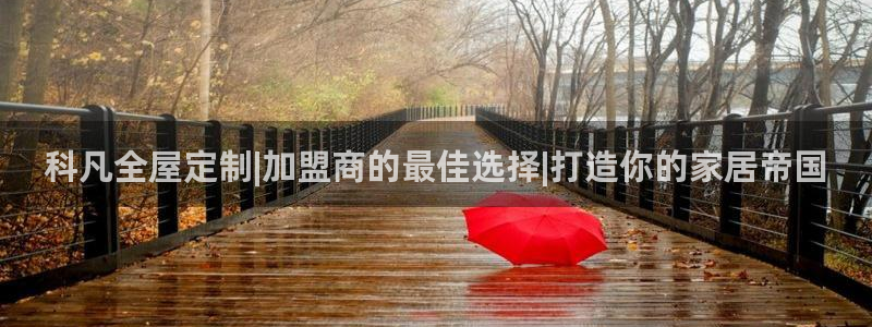 bb电子怎么英语怎么说