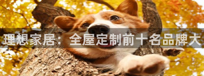 bb电子最简单设置方法