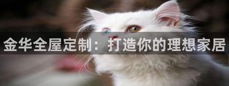 bb电子什么游戏好赢一点