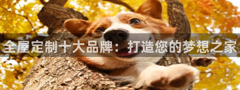 bb电子最简单设置方法
