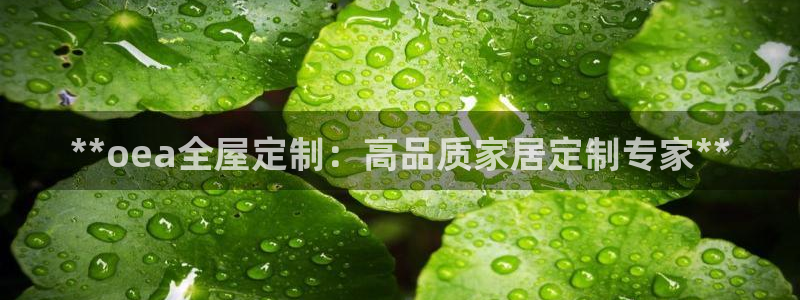 bb电子怎么英语怎么说