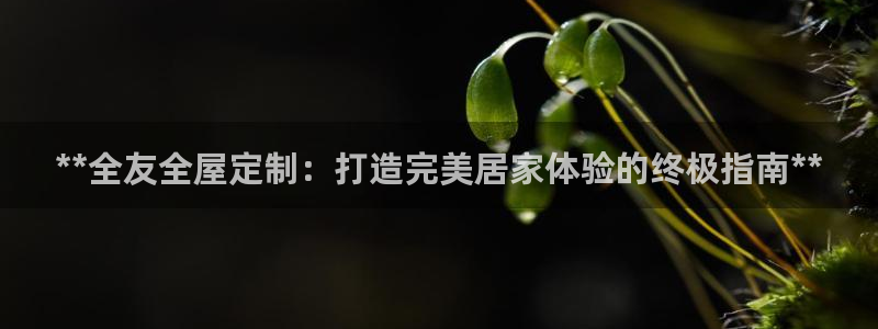 bb电子哪个平台好啊