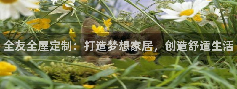 bb电子哪个平台好些