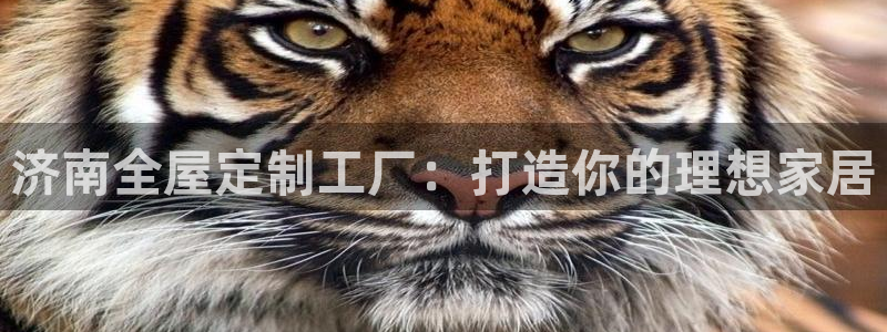 bb电子哪个平台好些