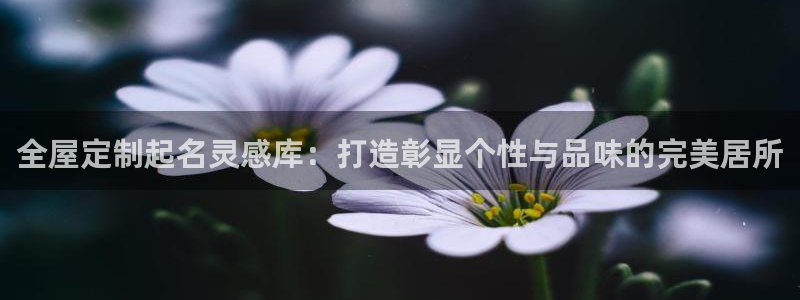 bb电子官网