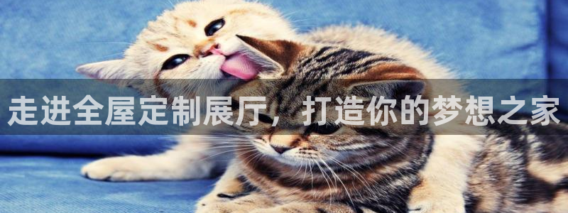 bb电子什么时候容易爆大奖的