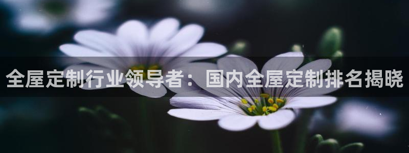 BB电子怪物派对