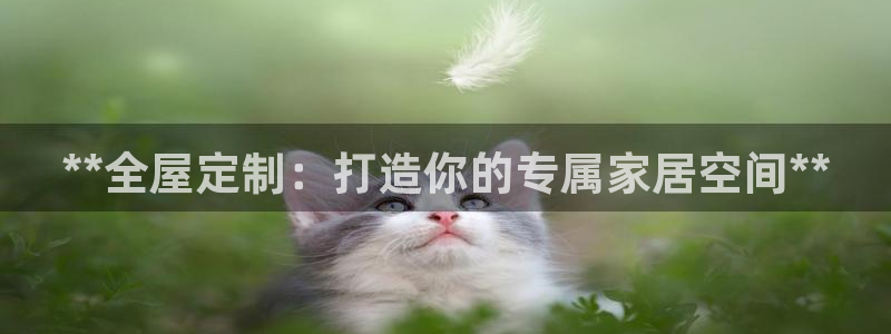 bb电子怎么英语怎么说