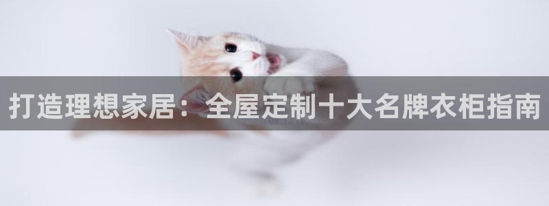 bb电子哪个平台好用点