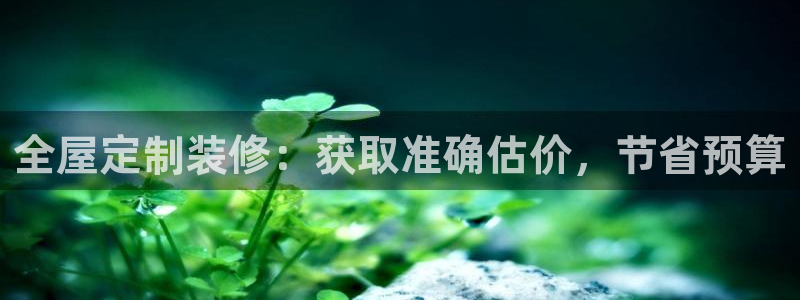 bb电子怎么英语怎么说