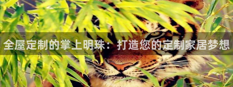 bb电子中了Major怎么算