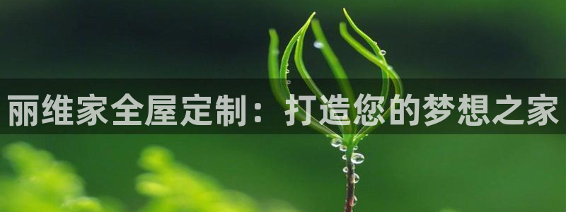 bB电子琴和弦