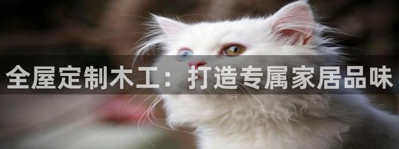 bb电子mini彩金