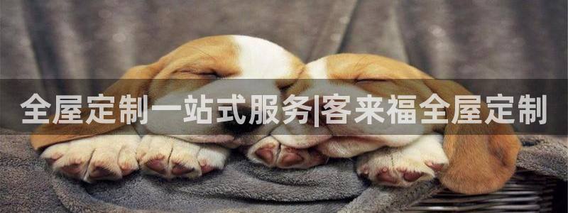 bB电子琴和弦