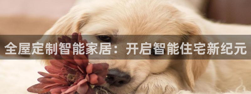 bb电子游戏娱乐平台