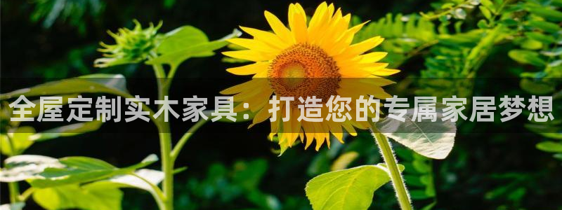 BB电子麻将胡了