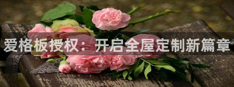 bb电子哪个平台好用点