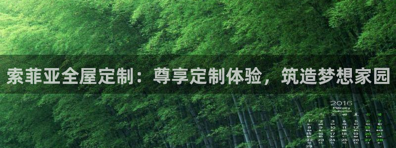 Bb电子琴和弦是哪个