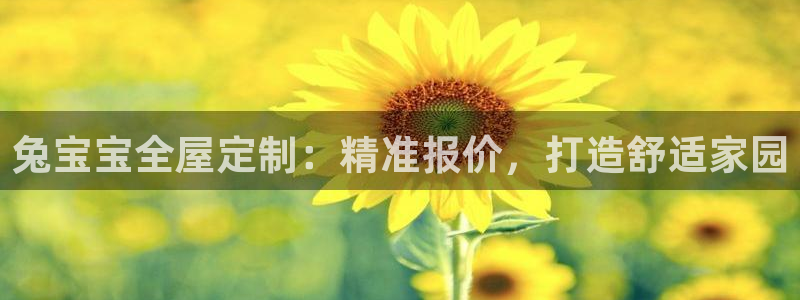 bb电子哪个平台好用点