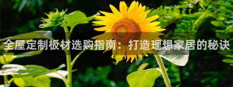 网上bb电子为什么那么假的
