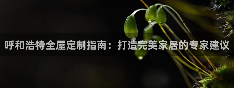 bb电子哪个游戏好赢钱啊