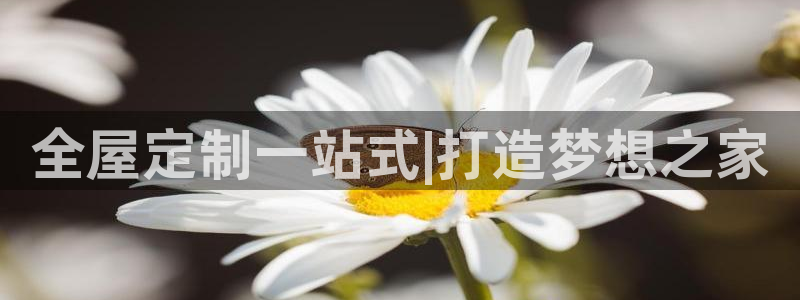 Bb电子琴和弦是哪个