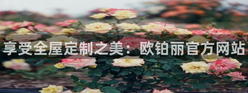 bb电子怎么赢