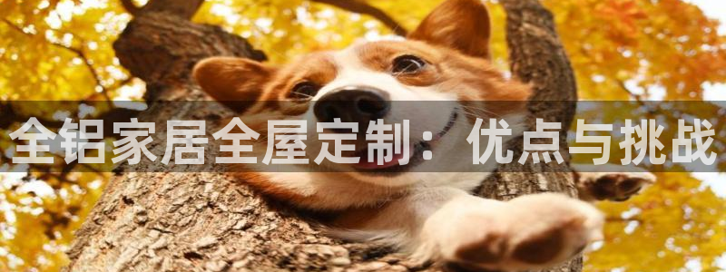 网上bb电子为什么那么假的
