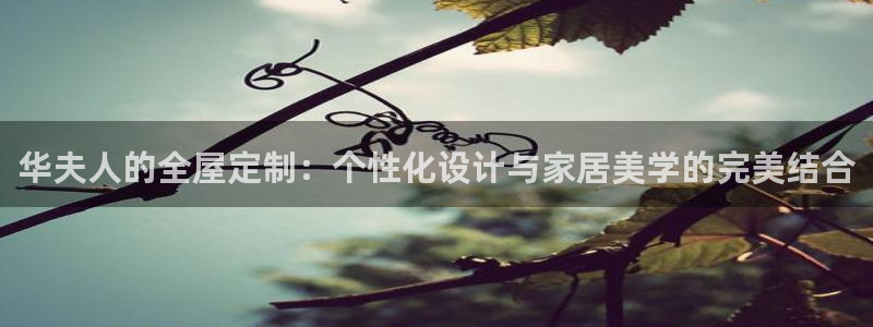 bB电子琴和弦