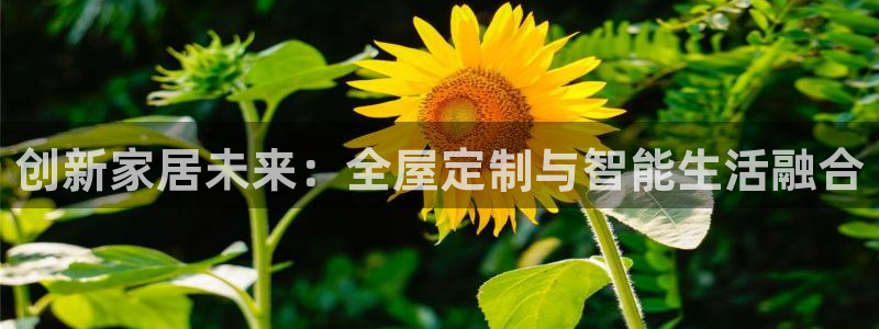 bb电子哪个平台好点