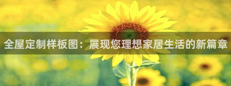 bb电子哪个平台好啊