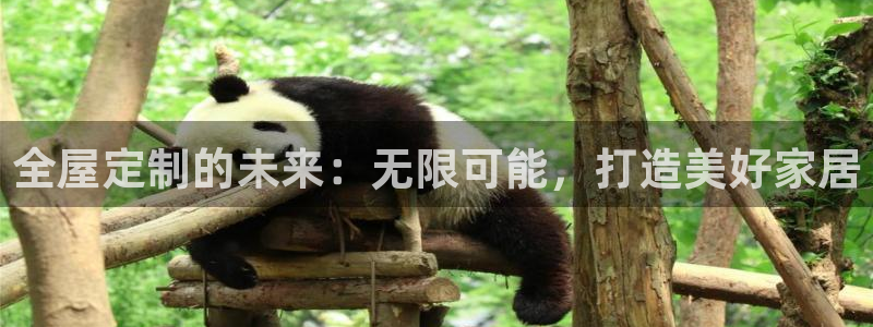 bb电子什么游戏好赢一点