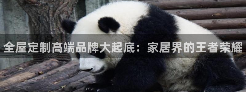 bb电子哪个平台好