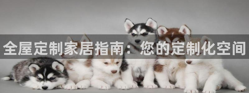 bb电子中了Major怎么算