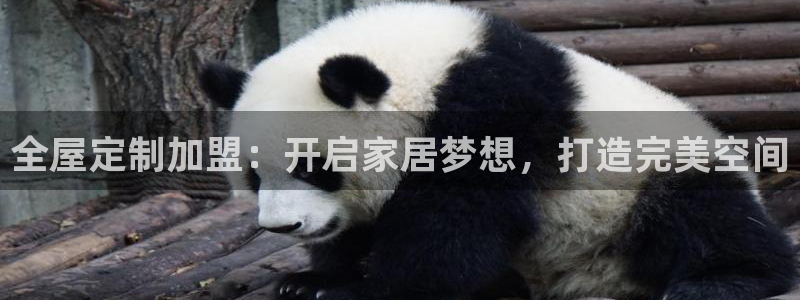 网上bb电子为什么那么假