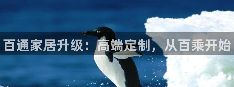 bb电子教育平台