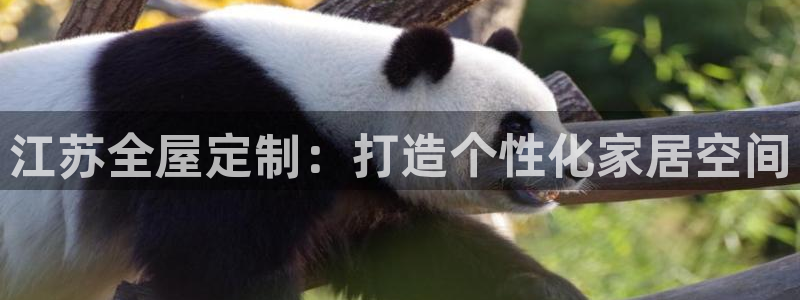 bb电子怎么英语怎么说