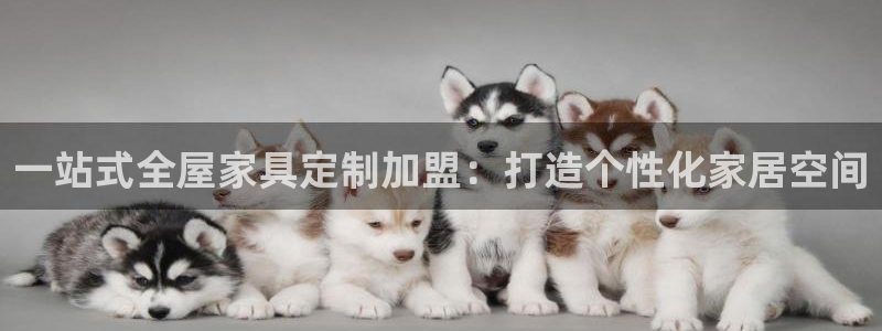 bb电子哪个平台好点